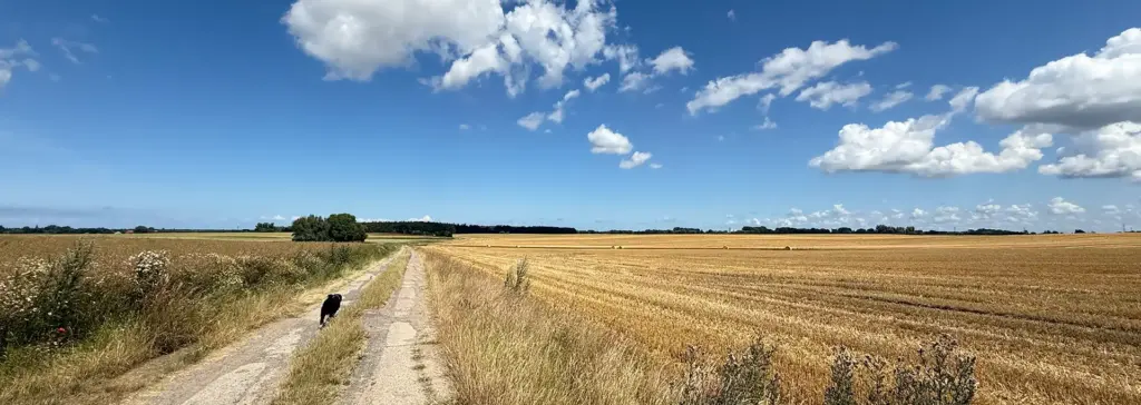Weite Felder für Urlaub mit Hind in MV
